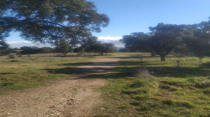 parque la bellota